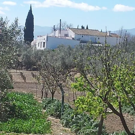 Kır Evi Cortijo Bustamante Baza