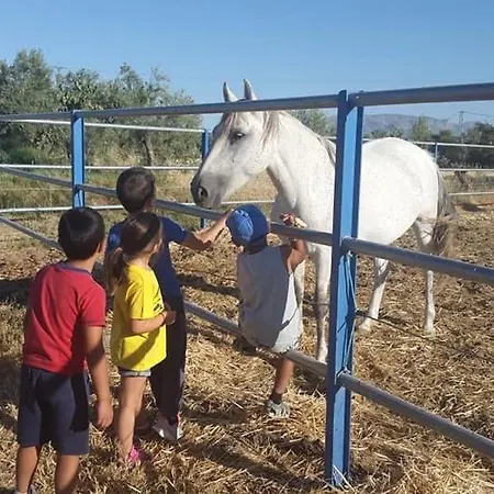 Cortijo Bustamante Kır Evi