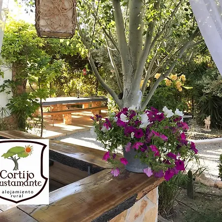 Cortijo Bustamante بازا